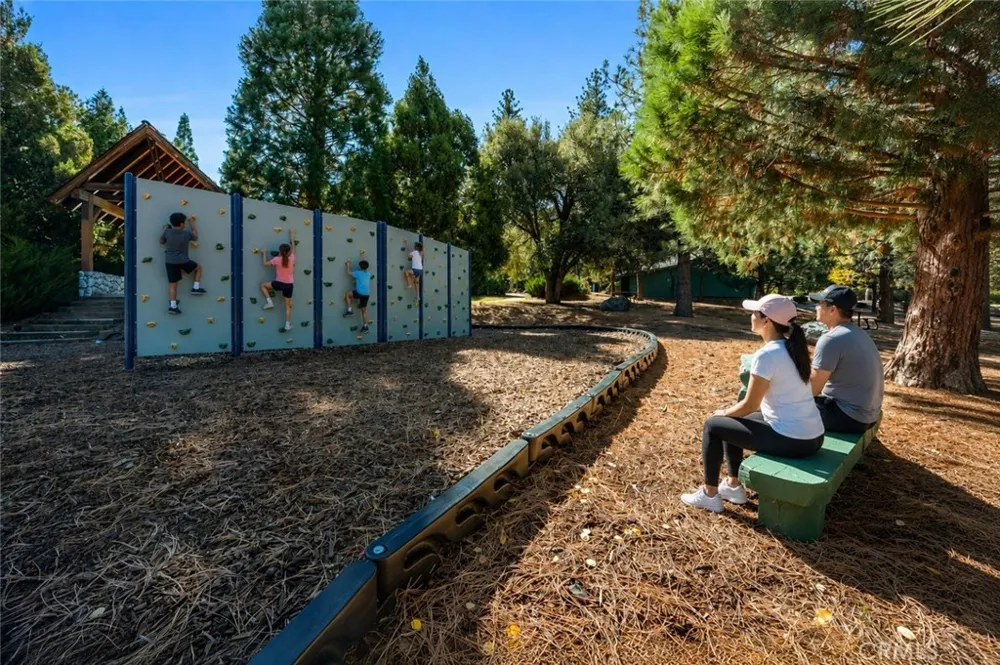 16421 Grizzly Drive Pine Mountain Club, CA 93222
