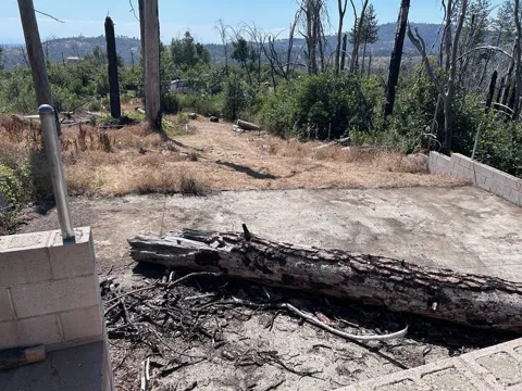 17 Big Oak