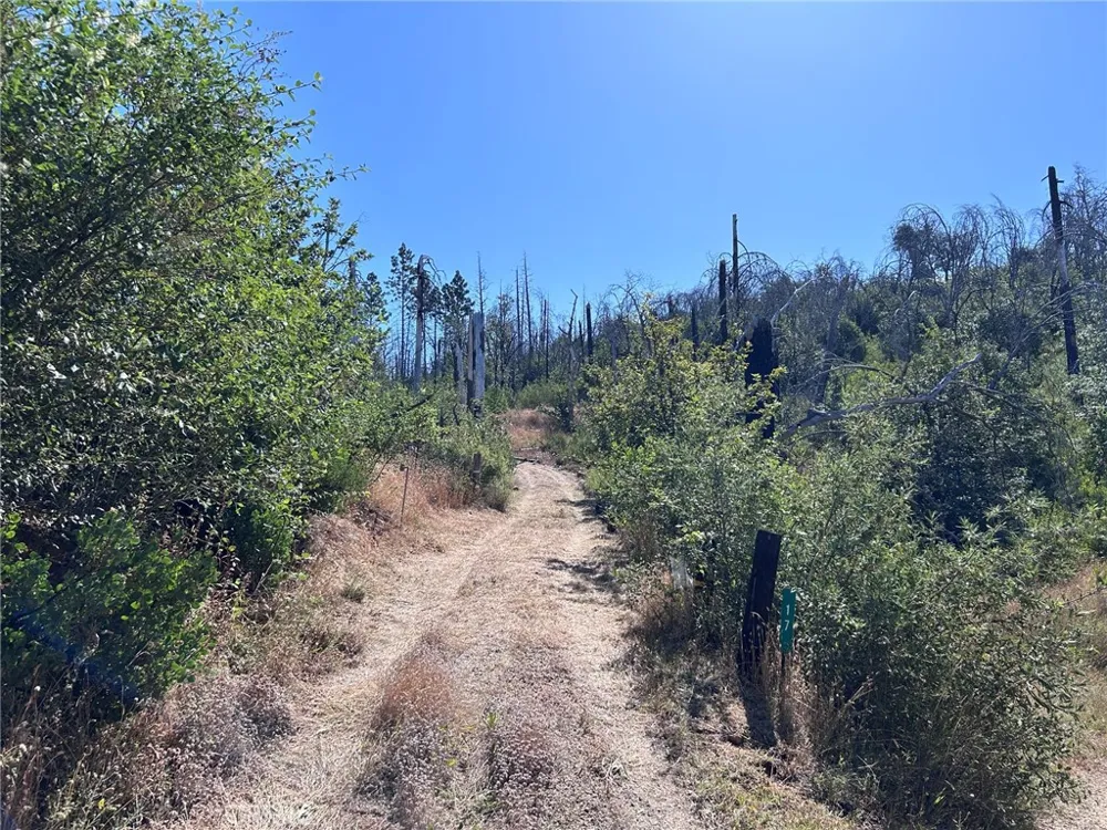 17 Big Oak Berry Creek, CA 95916