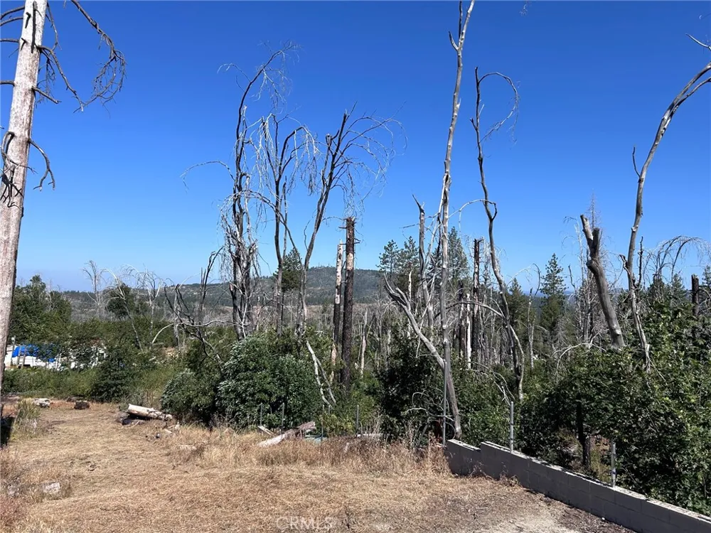 17 Big Oak Berry Creek, CA 95916