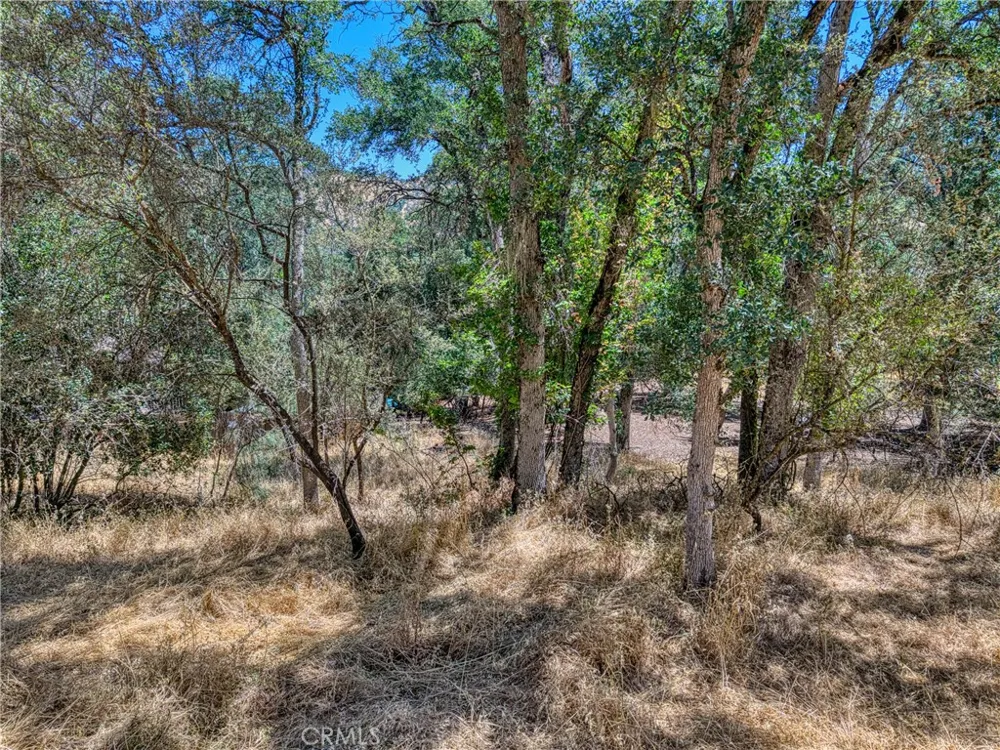 13020 Ridge Street Clearlake, CA 95422