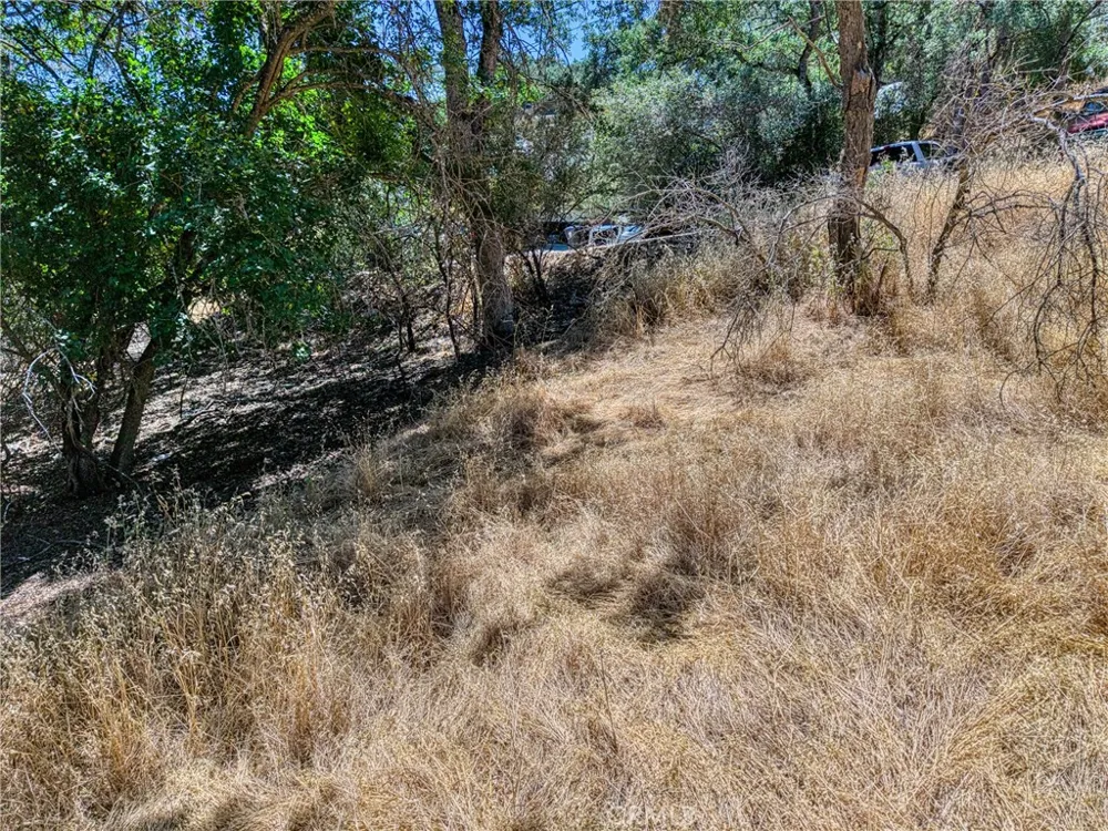 13020 Ridge Street Clearlake, CA 95422