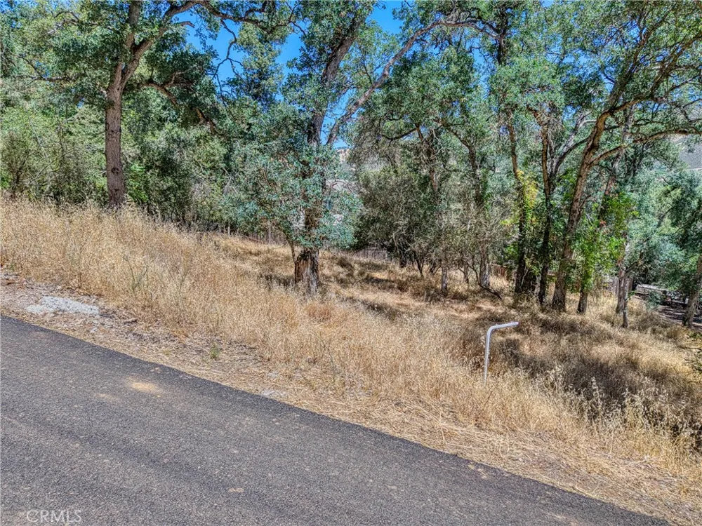 13020 Ridge Street Clearlake, CA 95422