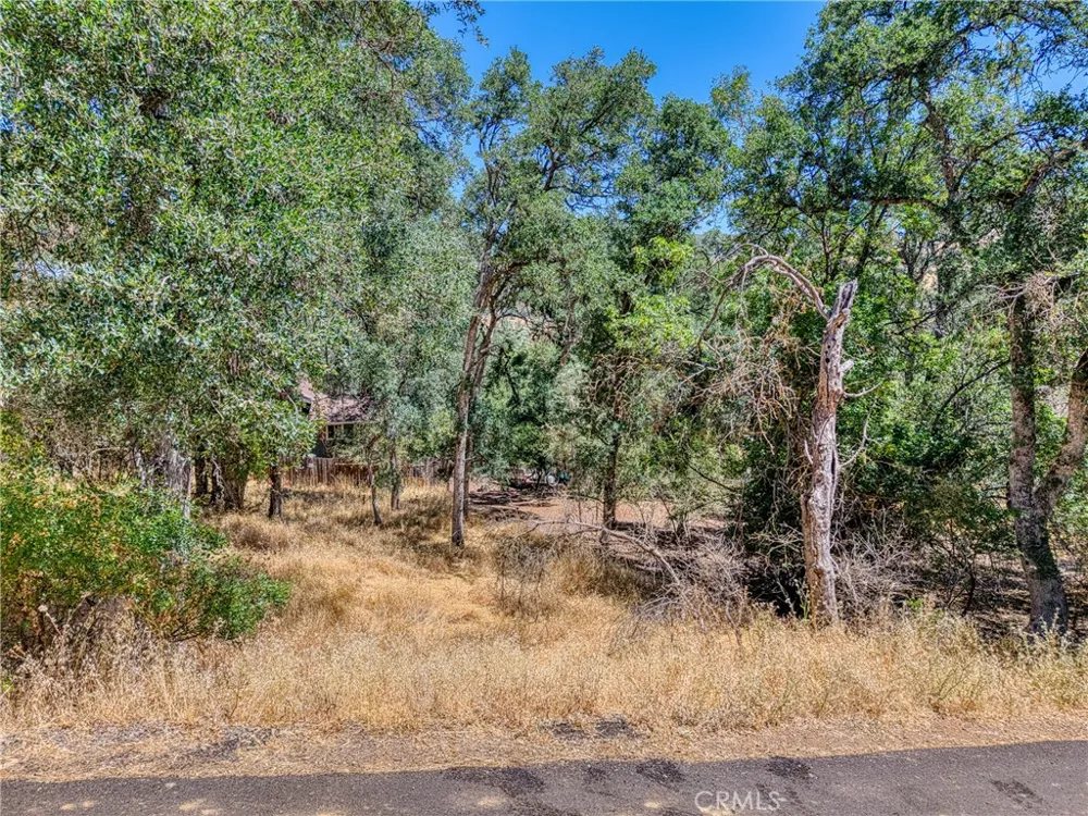 13020 Ridge Street Clearlake, CA 95422