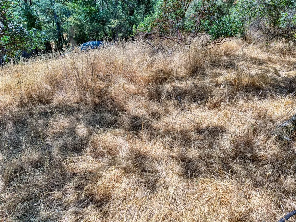 13020 Ridge Street Clearlake, CA 95422