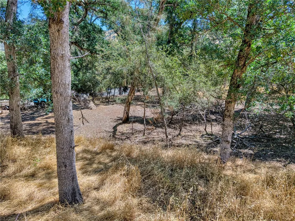 13020 Ridge Street Clearlake, CA 95422