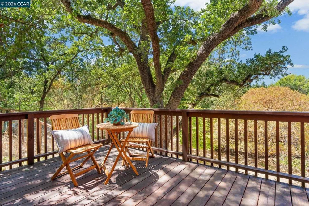 890 Holly Hill Dr Walnut Creek, CA 94596
