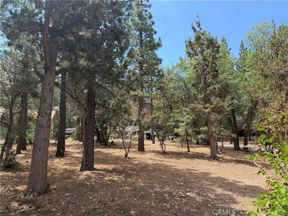 753 Vista Sugarloaf, CA 92386