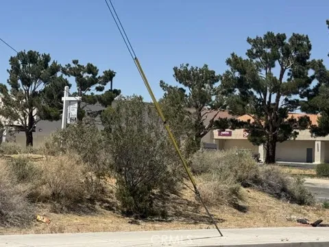 Amargosa Road