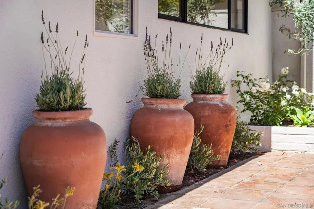16902 Via De Santa Fe #Unit 7 Rancho Santa Fe, CA 92067