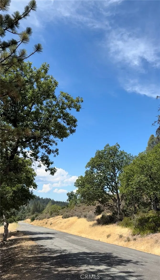 1651 Summit Creek Road Hayfork, CA 96041