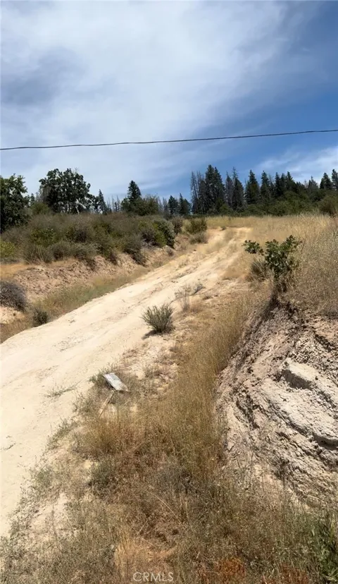 1651 Summit Creek Road