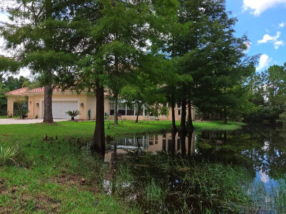 779 E CHAPMAN ROAD Oviedo, FL 32765