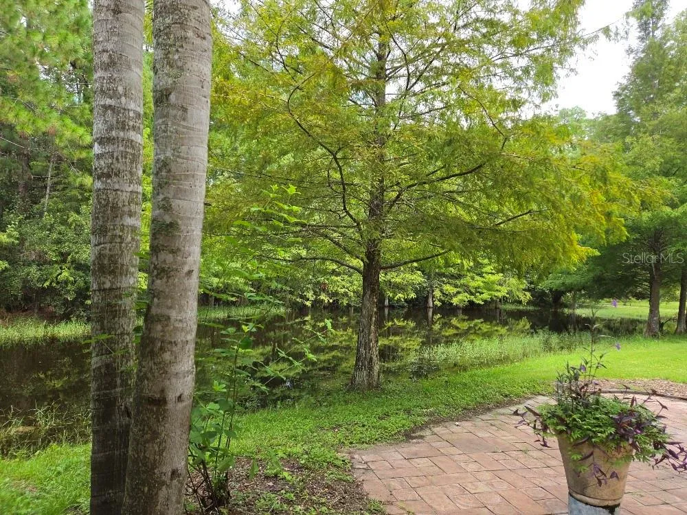 779 E CHAPMAN ROAD Oviedo, FL 32765