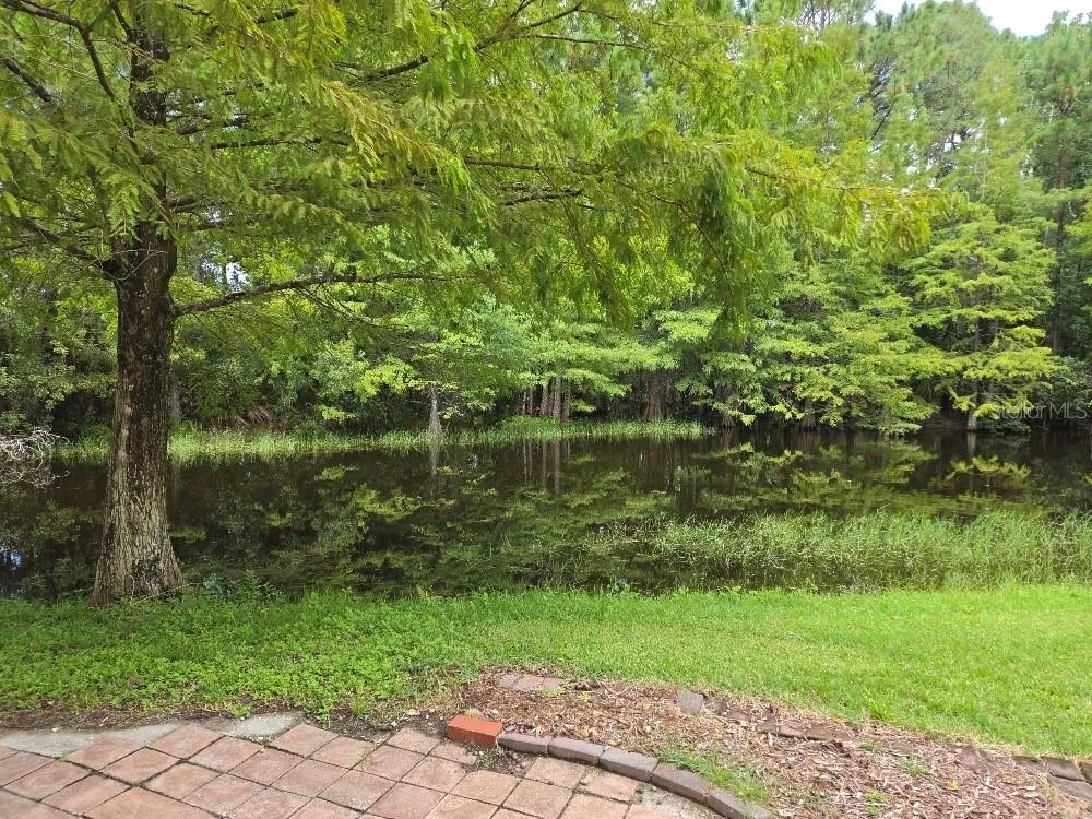 779 E CHAPMAN ROAD Oviedo, FL 32765