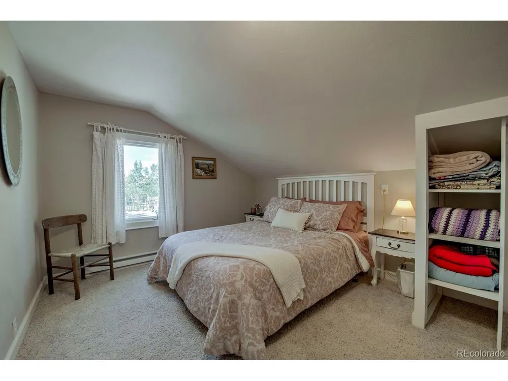 601 Bogue Street Fairplay, CO 80440