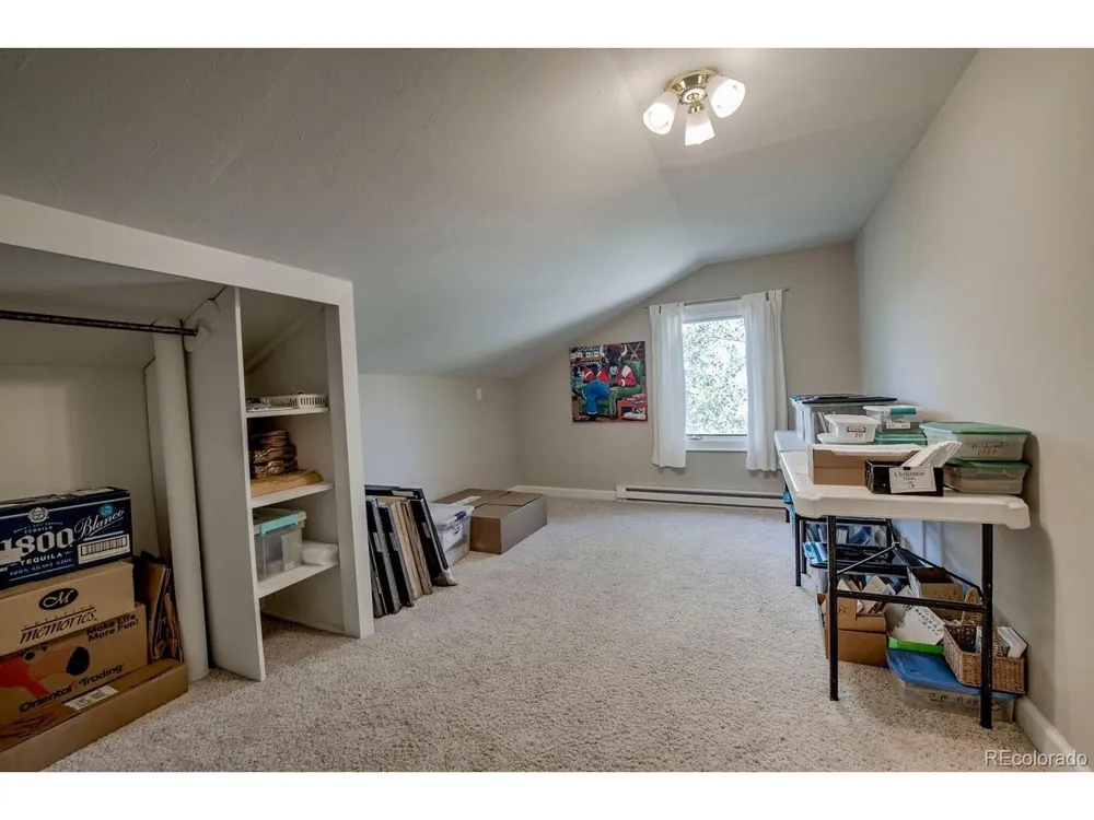 601 Bogue Street Fairplay, CO 80440