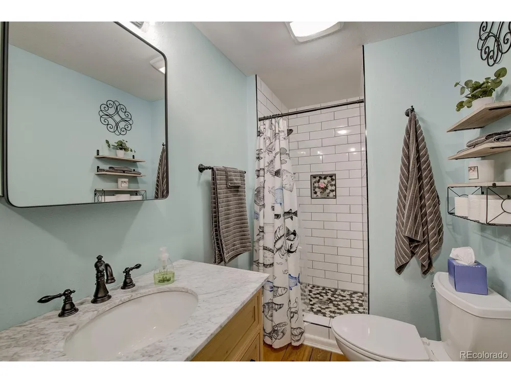 601 Bogue Street Fairplay, CO 80440