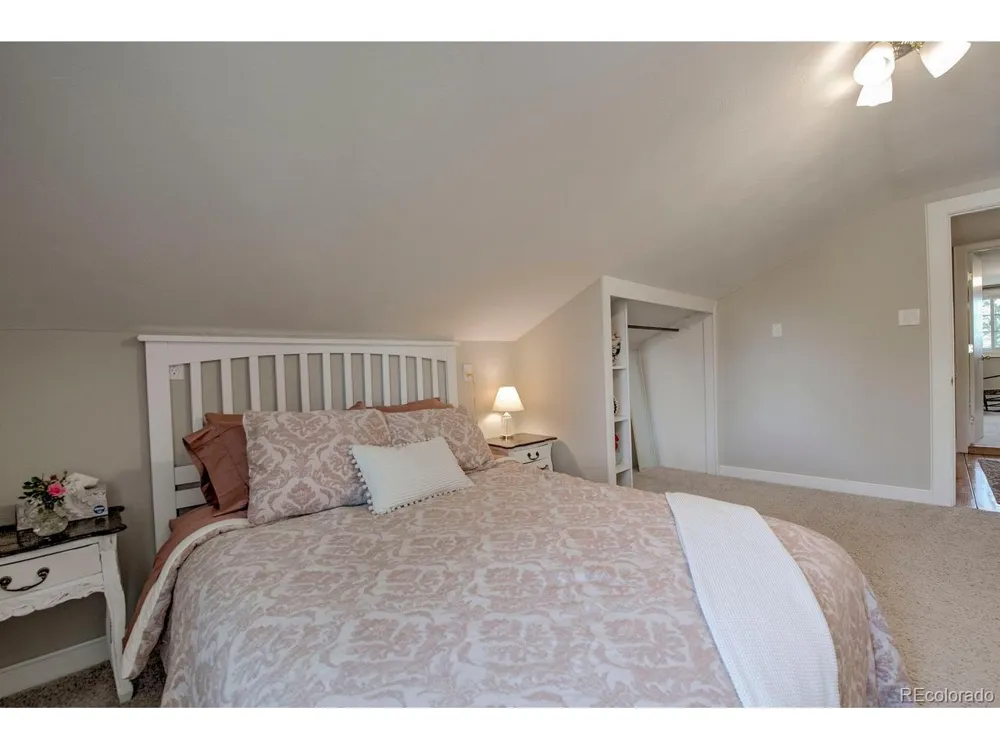 601 Bogue Street Fairplay, CO 80440