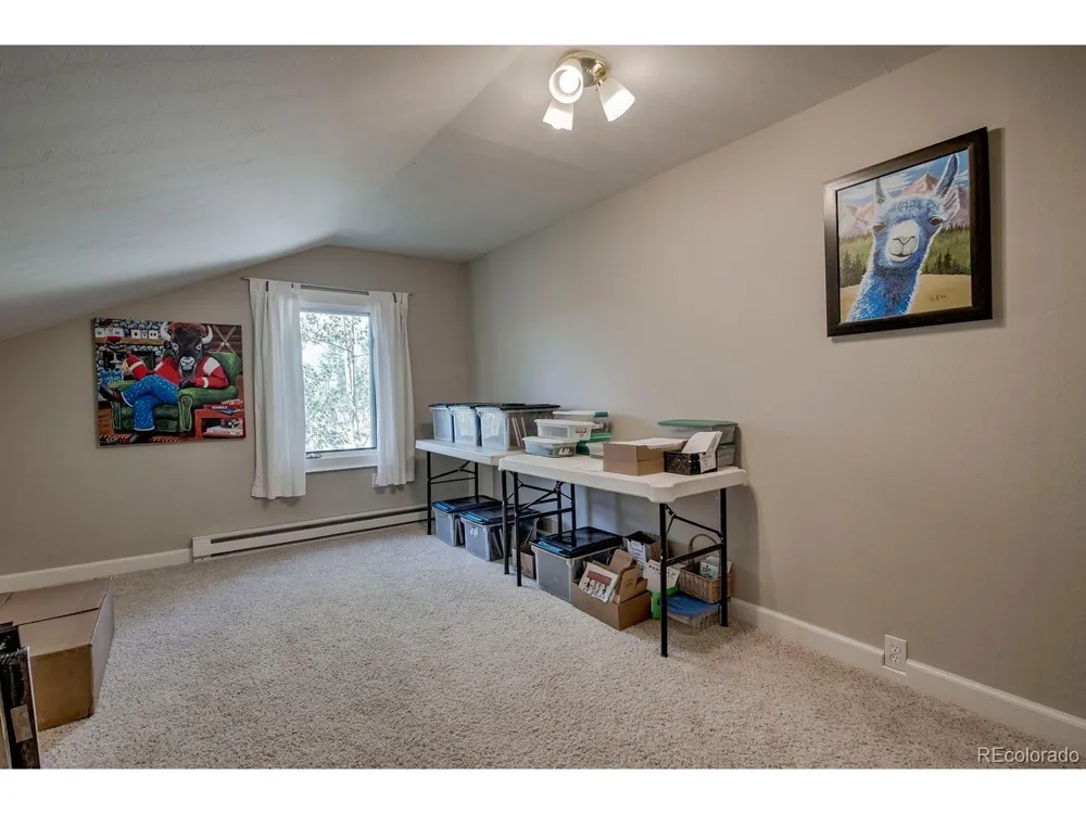 601 Bogue Street Fairplay, CO 80440