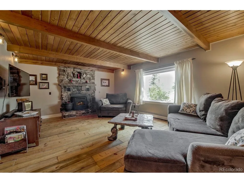601 Bogue Street Fairplay, CO 80440