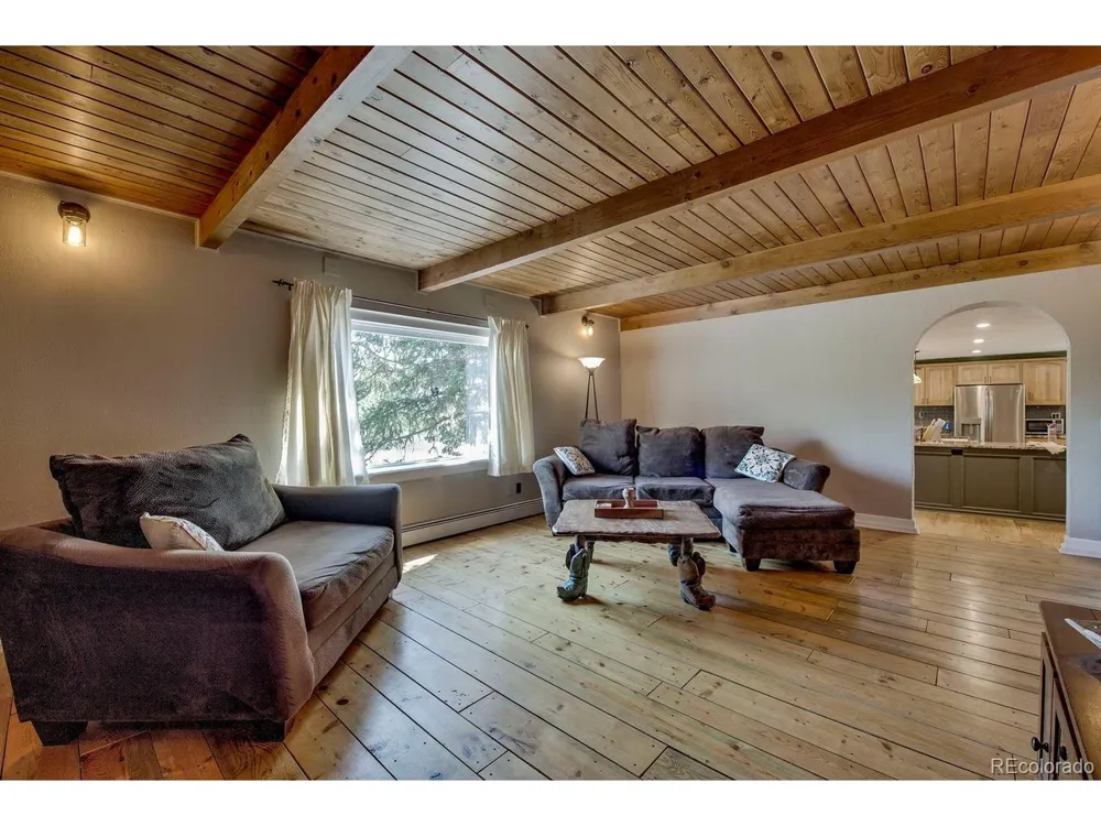 601 Bogue Street Fairplay, CO 80440