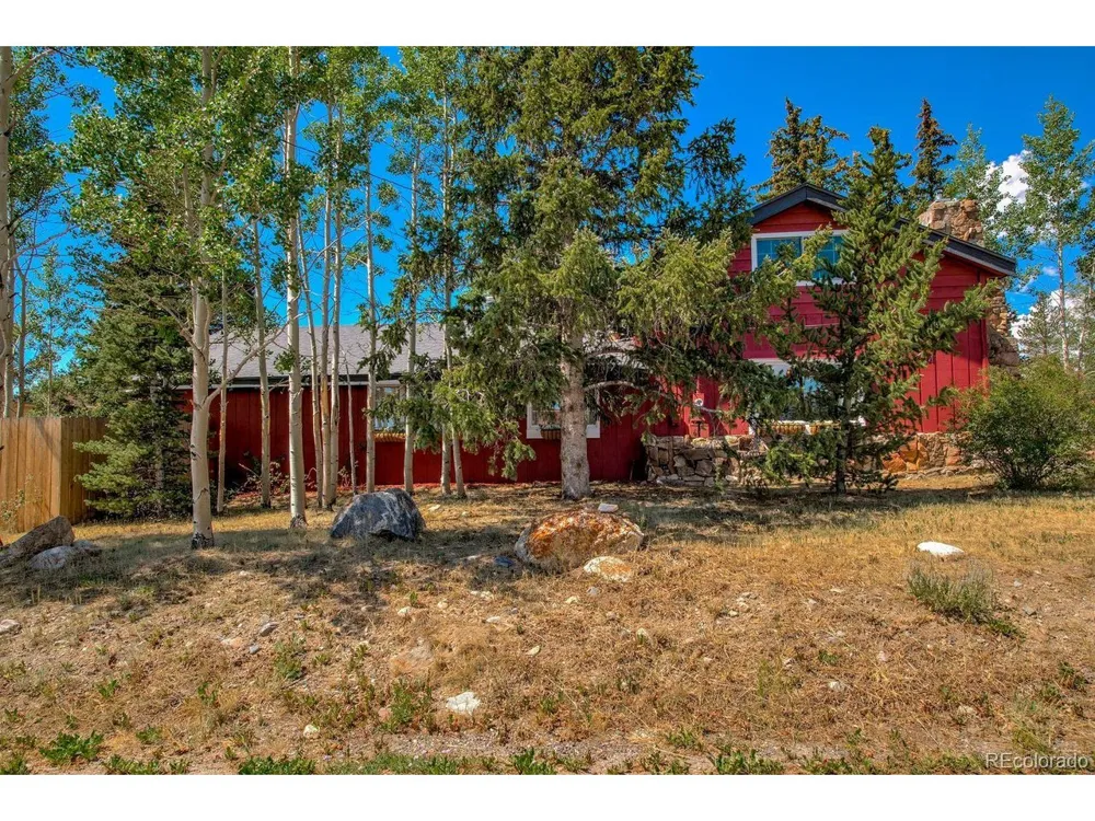 601 Bogue Street Fairplay, CO 80440