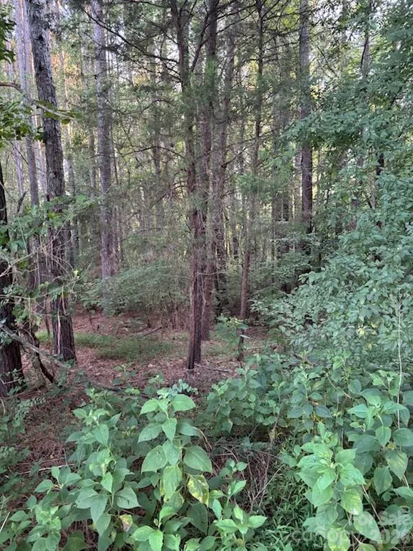 Lot 1 Mathis Church Road Catawba, NC 28609
