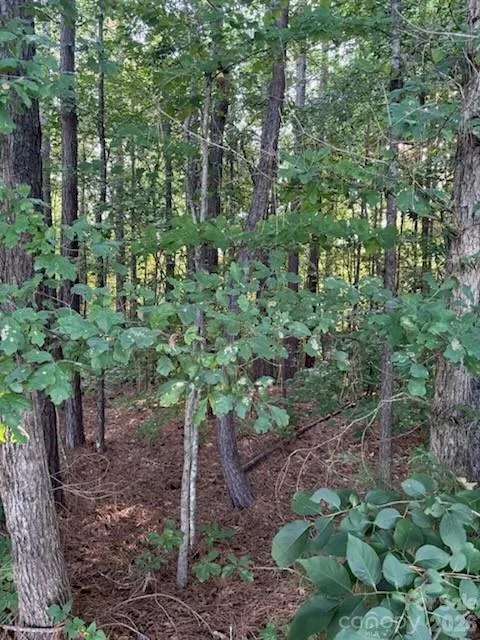 Lot 2 Mathis Church Road Catawba, NC 28609