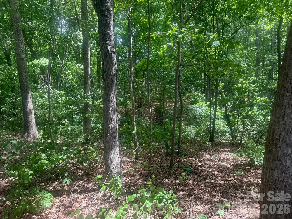 159 Richard Drive Winston Salem, NC 27107