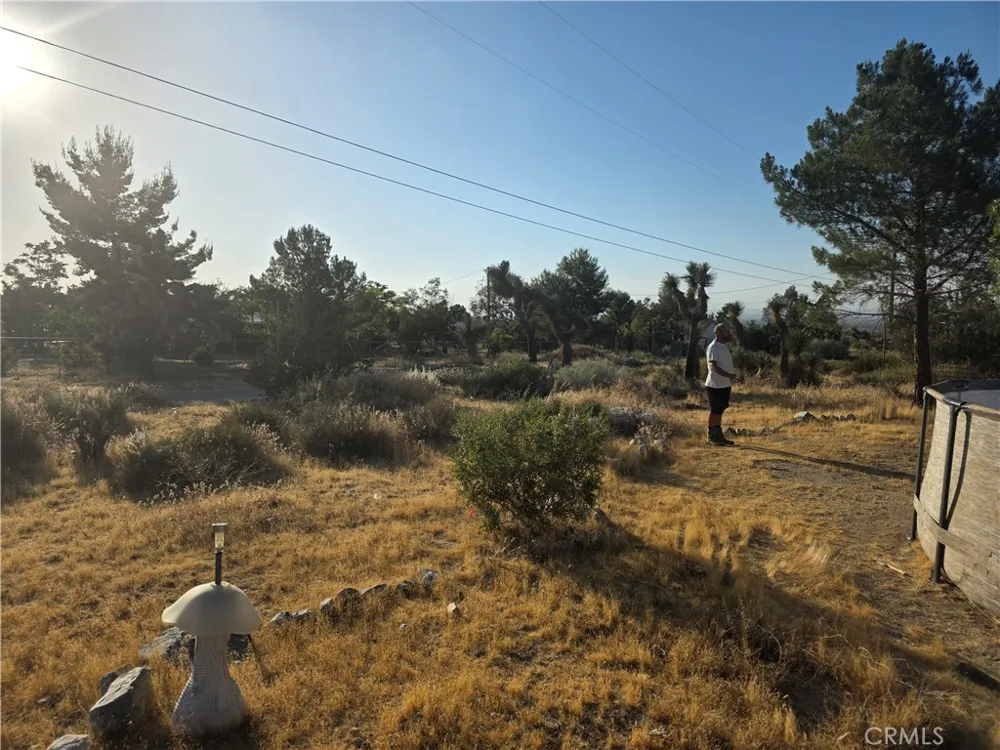 10623 Desert View Pinon Hills, CA 92372