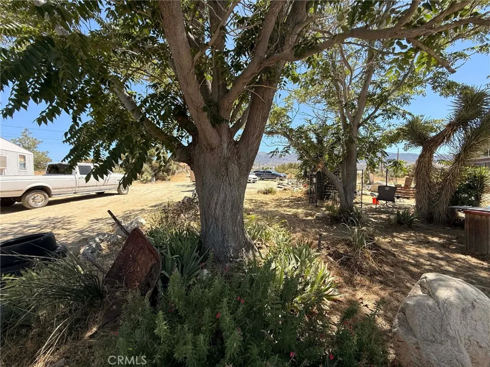 10623 Desert View Pinon Hills, CA 92372