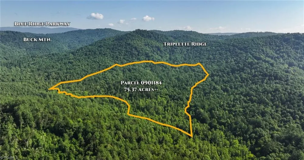 0000 Boone Trail Purlear, NC 28665