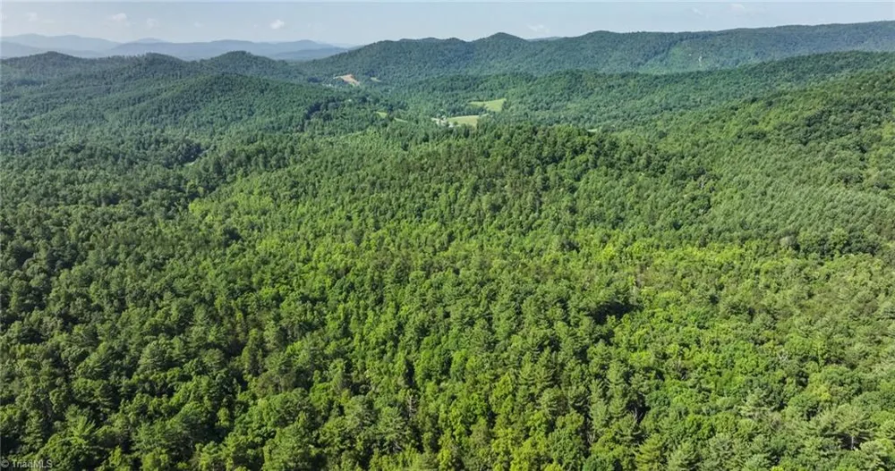 0000 Boone Trail Purlear, NC 28665