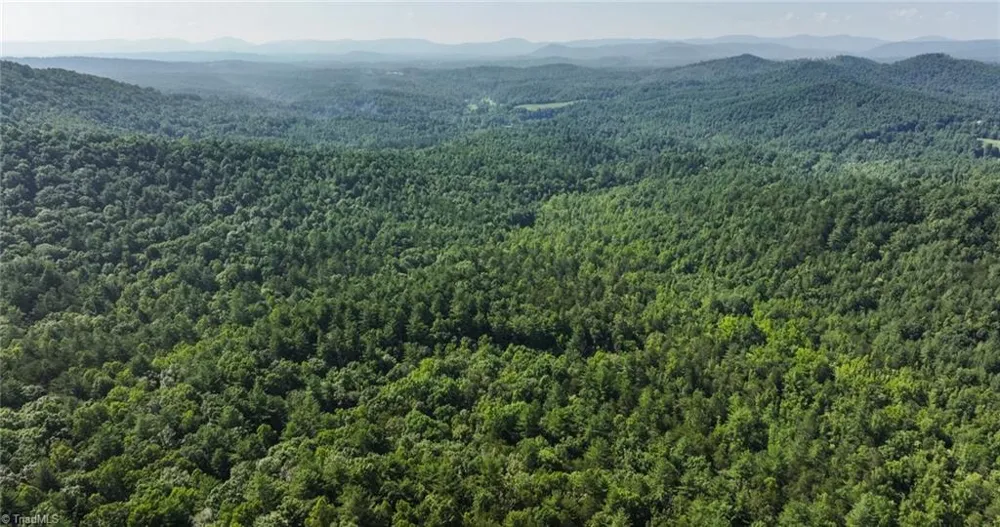 0000 Boone Trail Purlear, NC 28665