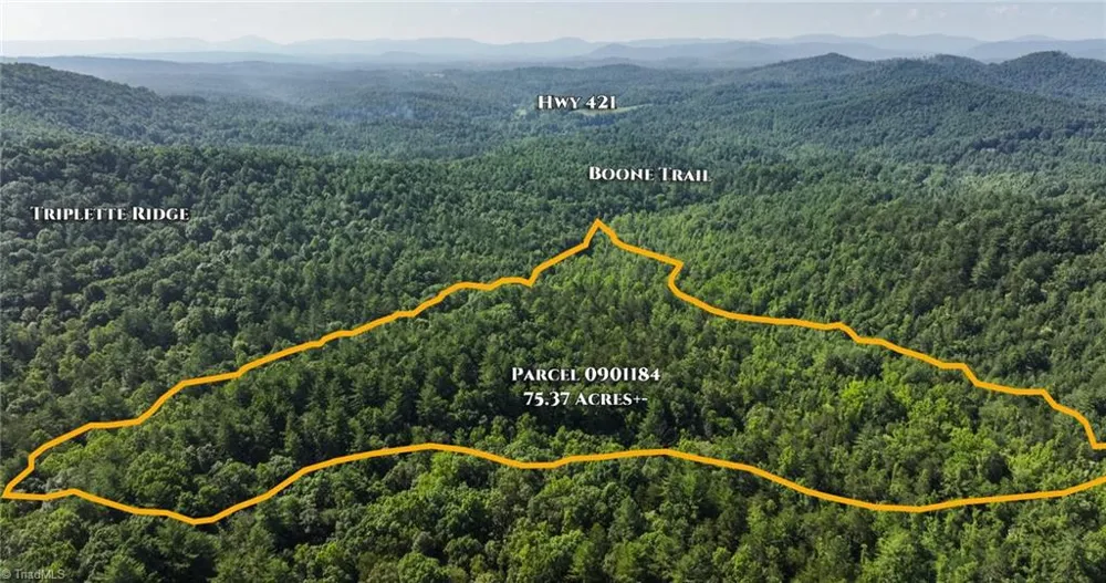 0000 Boone Trail Purlear, NC 28665