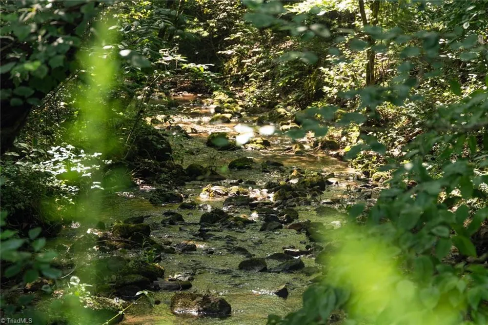 0000 Boone Trail Purlear, NC 28665