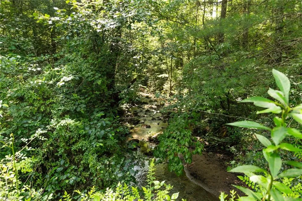 0000 Boone Trail Purlear, NC 28665