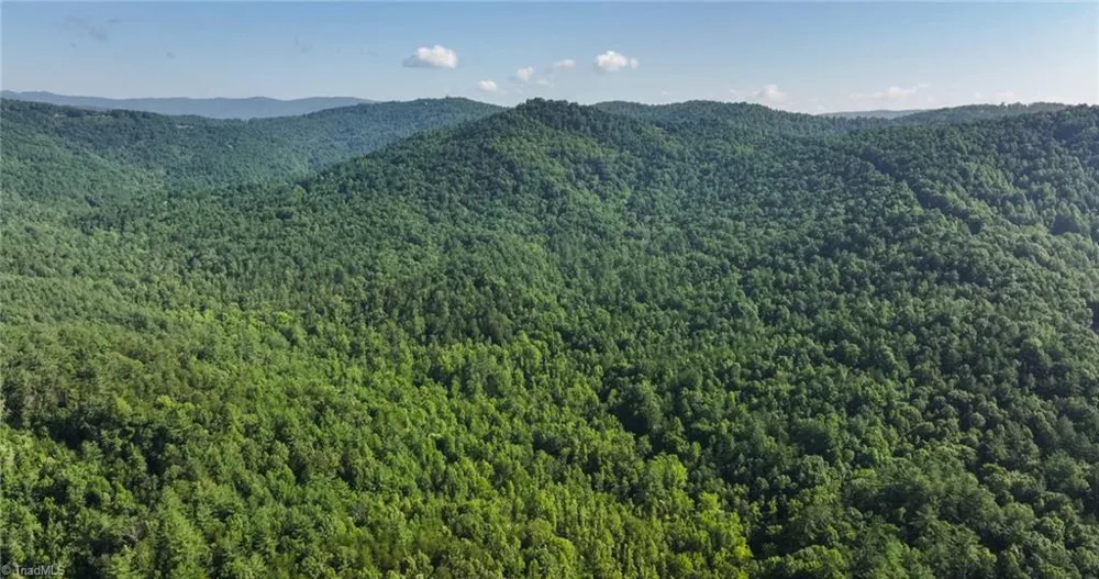 0000 Boone Trail Purlear, NC 28665