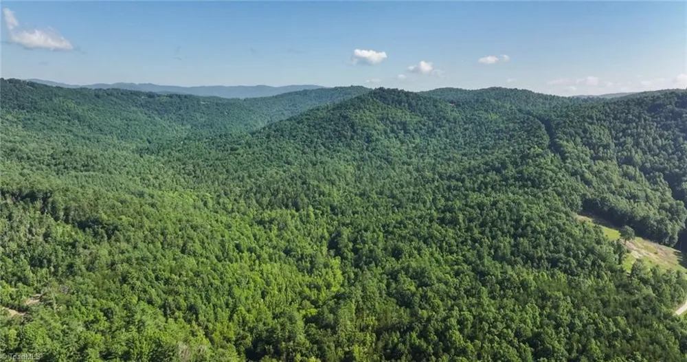 0000 Boone Trail Purlear, NC 28665