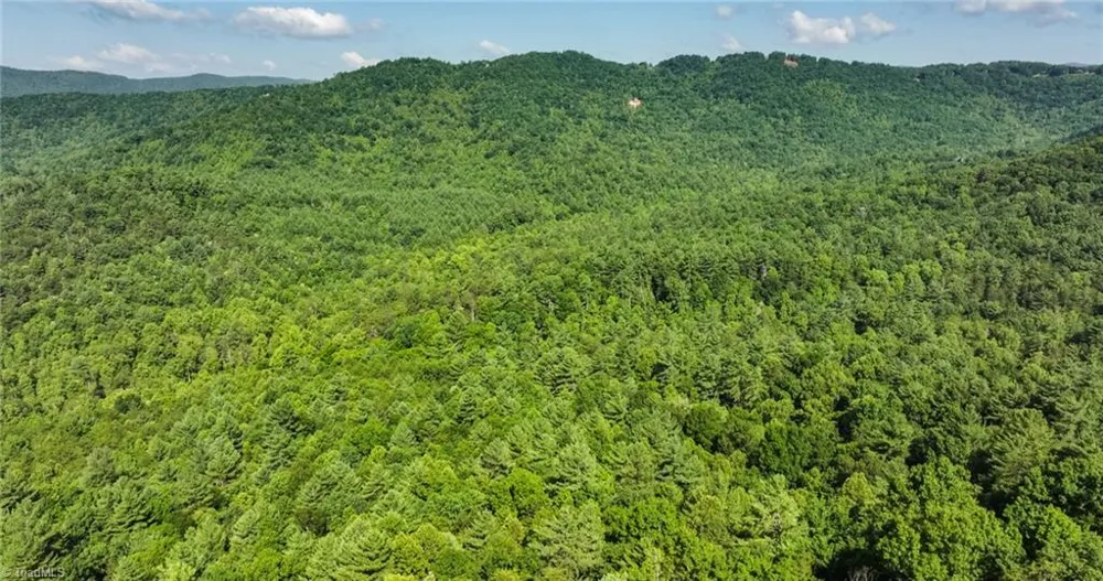 0000 Boone Trail Purlear, NC 28665