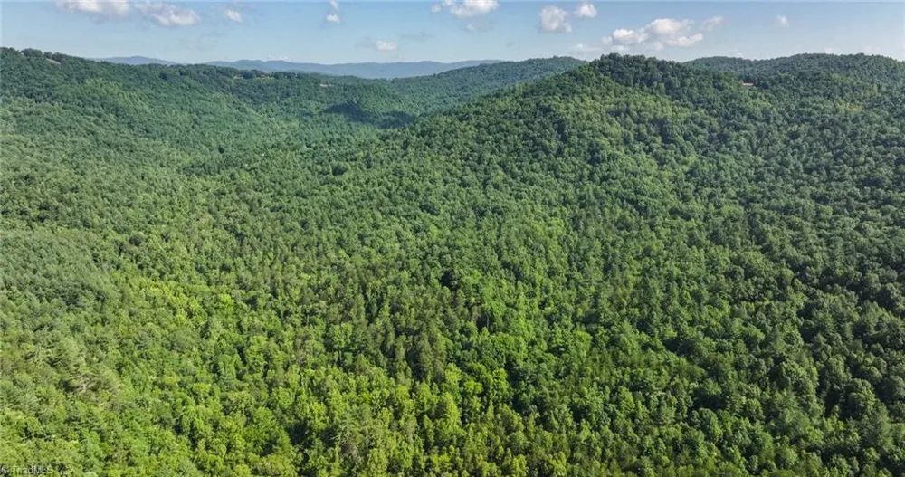 0000 Boone Trail Purlear, NC 28665