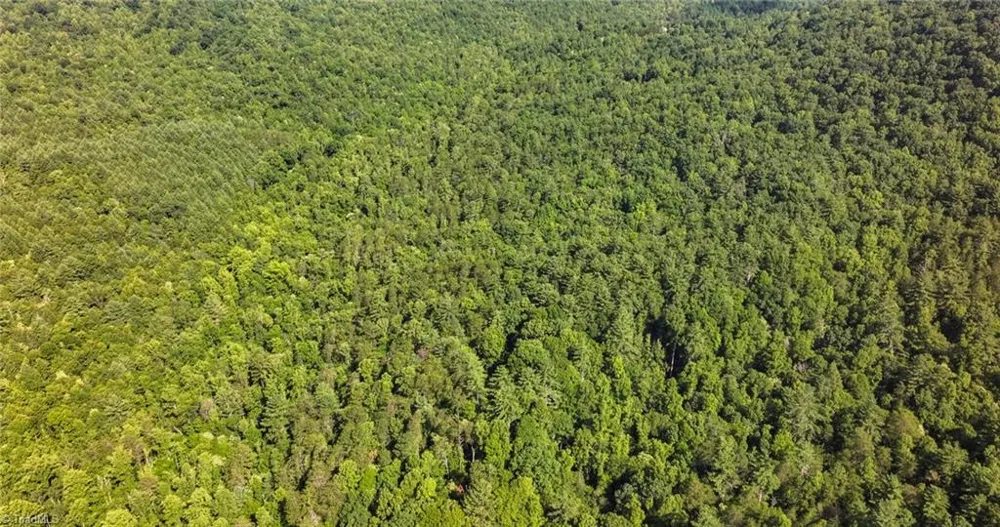 0000 Boone Trail Purlear, NC 28665