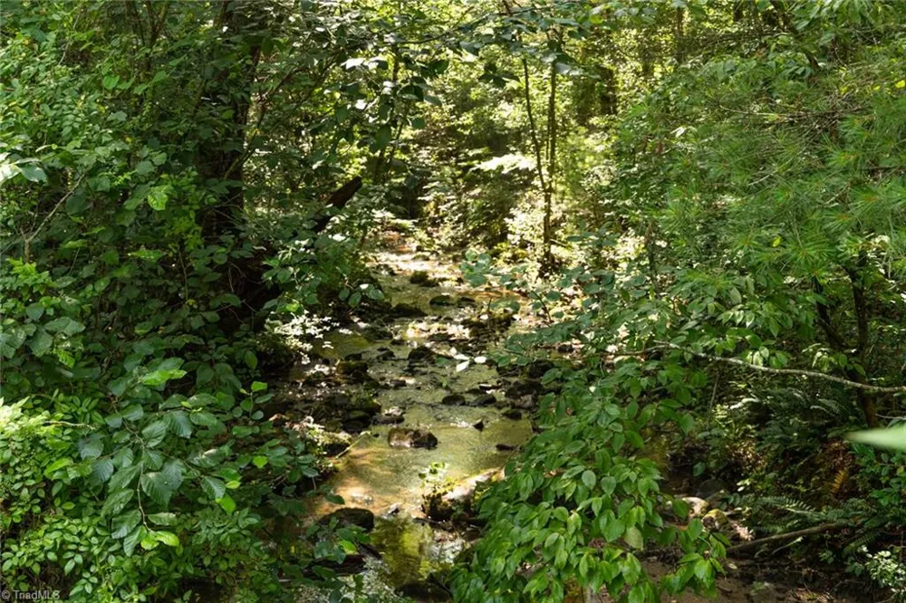 0000 Boone Trail Purlear, NC 28665