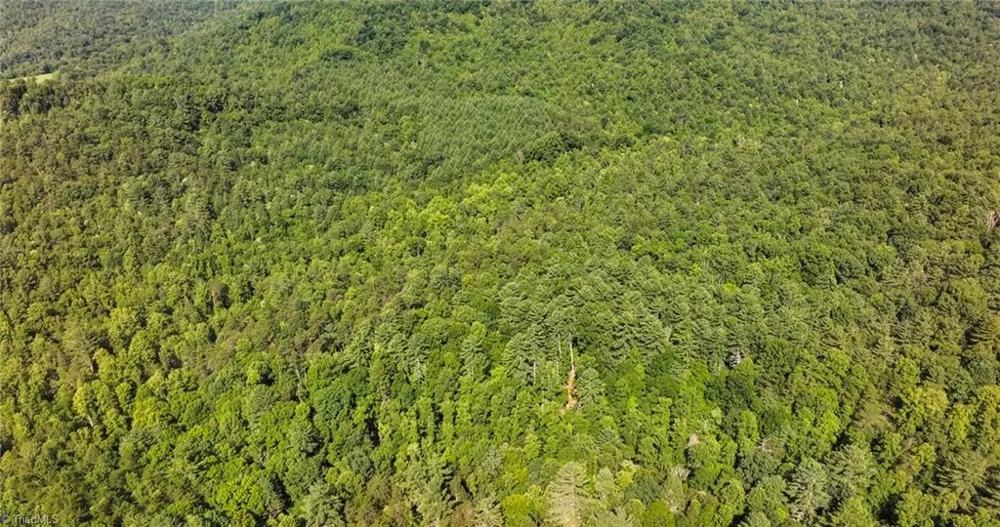 0000 Boone Trail Purlear, NC 28665