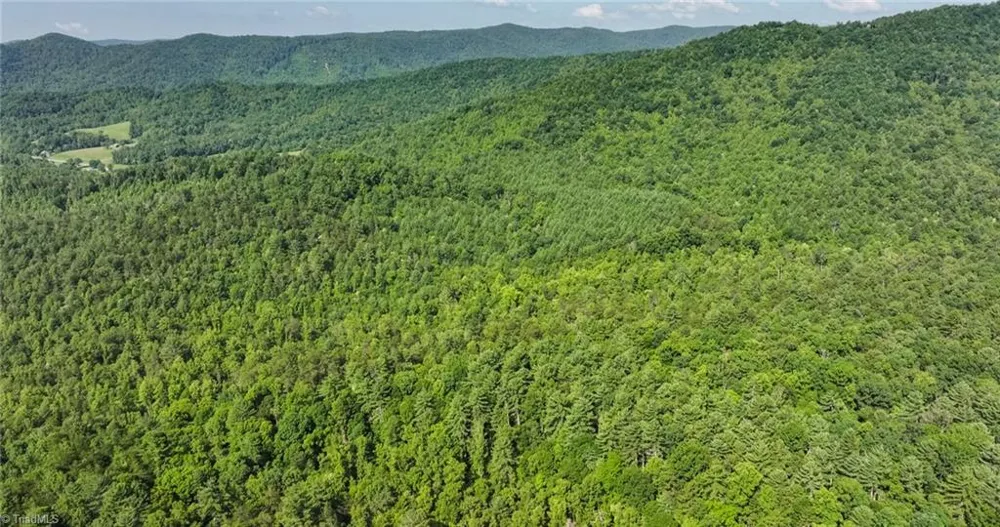 0000 Boone Trail Purlear, NC 28665