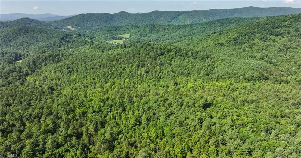 0000 Boone Trail Purlear, NC 28665