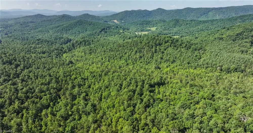 0000 Boone Trail Purlear, NC 28665