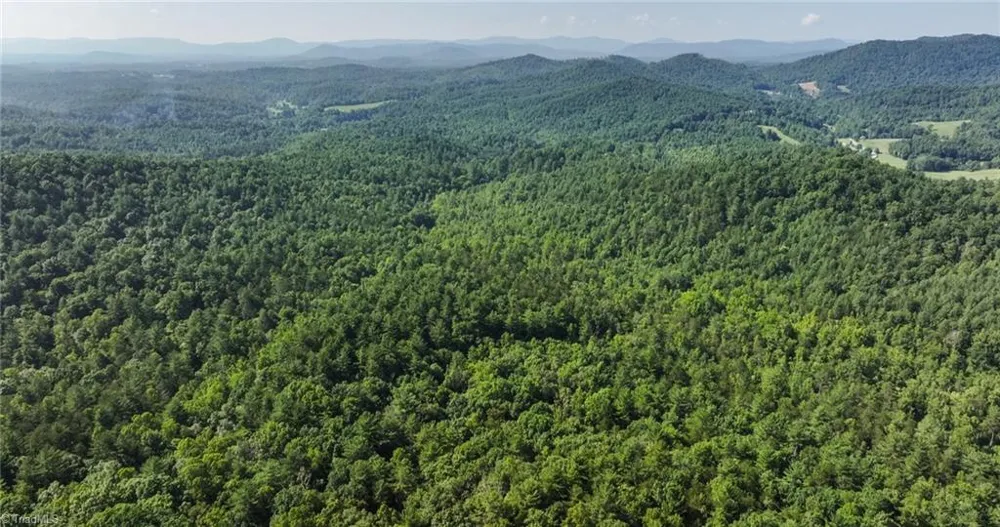 0000 Boone Trail Purlear, NC 28665
