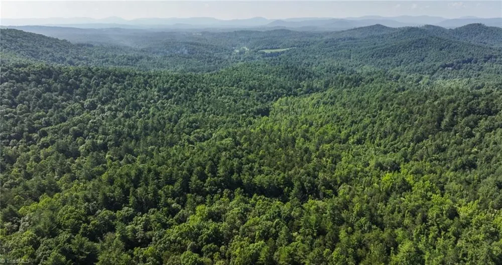 0000 Boone Trail Purlear, NC 28665
